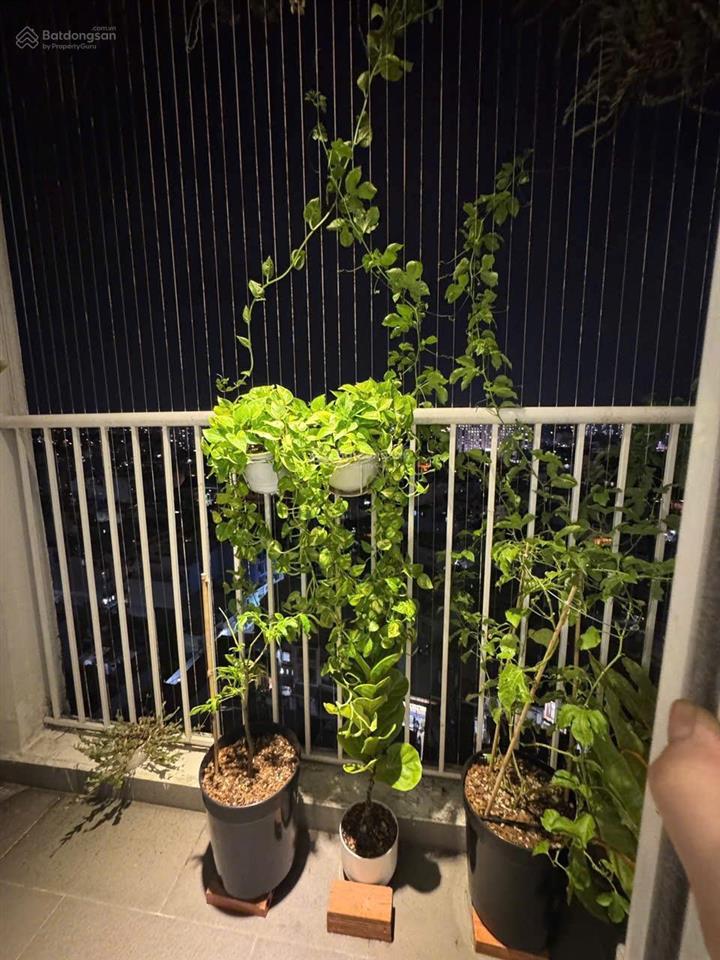 Bán căn hộ i  home 1 tại phạm văn chiêu, gò vấp, 3,25 tỷ, 88 m2