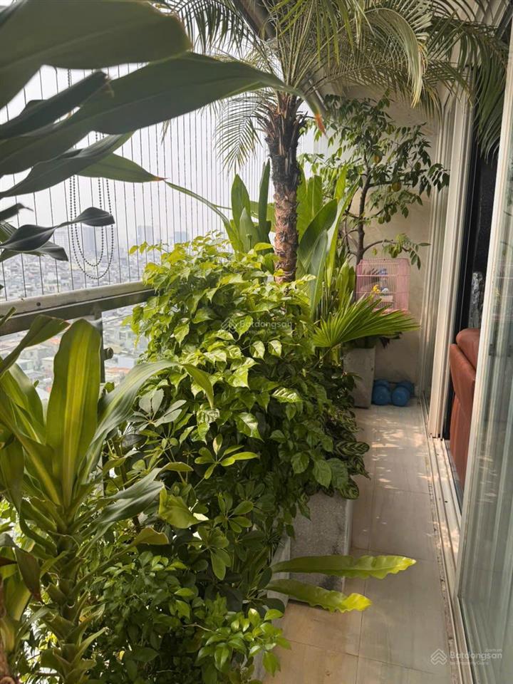 Bán cc sunny plaza, 7,6 tỷ, 123m2, 3pn, 2wc, hàng hot!