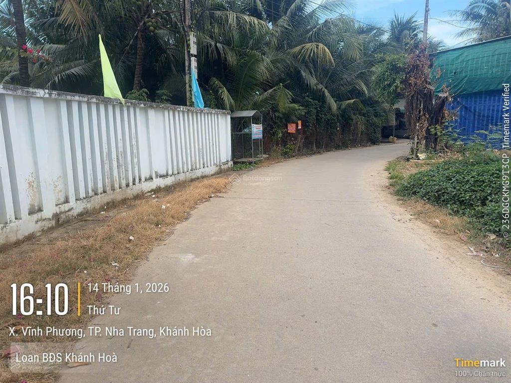 Chủ cần bán lô đất mặt tiền thôn đắc lộc dt 90m2 có thổ cư, đường 8m, kdc hiện hữu, giá 1,25 tỷ