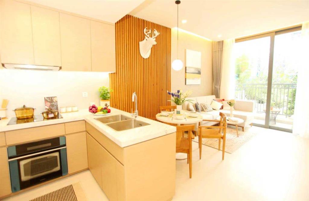 Cho thuê căn hộ cao cấp d  aqua, 2pn 2wc diện tích 68m2, giá thuê 10tr/tháng