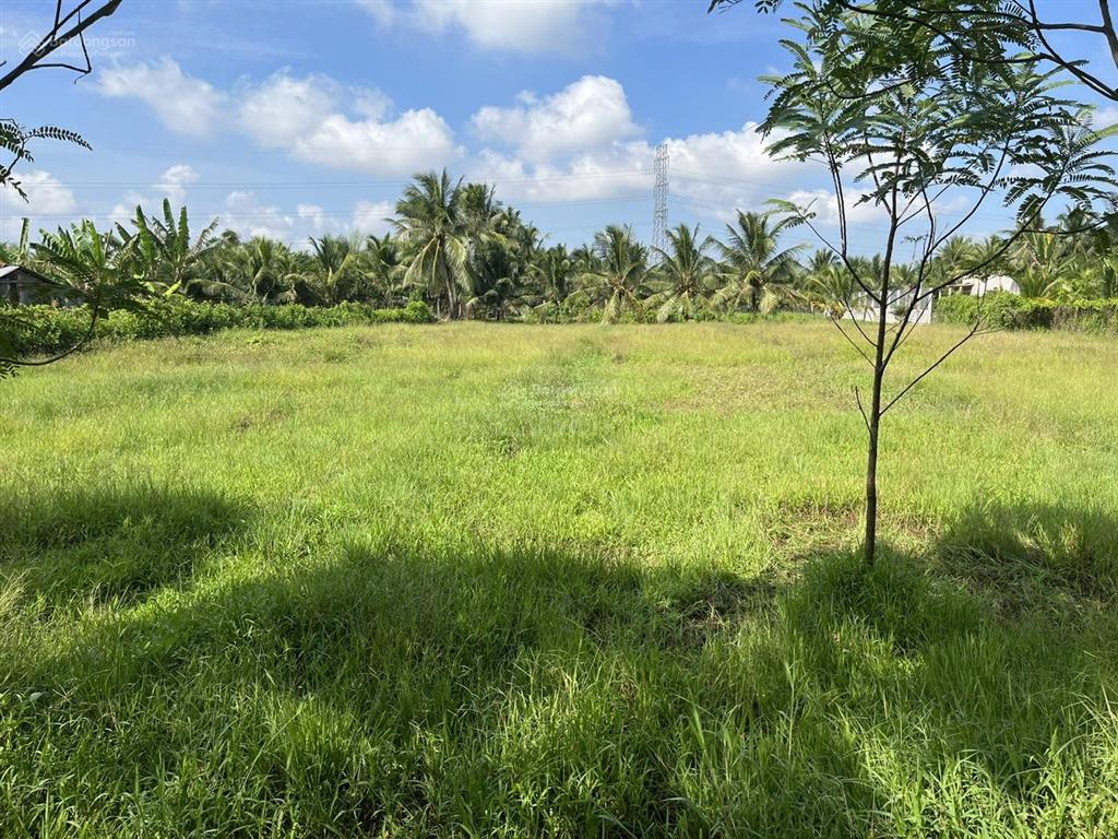 Bán rẻ 1 lô đất thổ cư đường bê tông ô tô 3m ba pho, khu phố phước hòa, phường trung an, đồng tháp