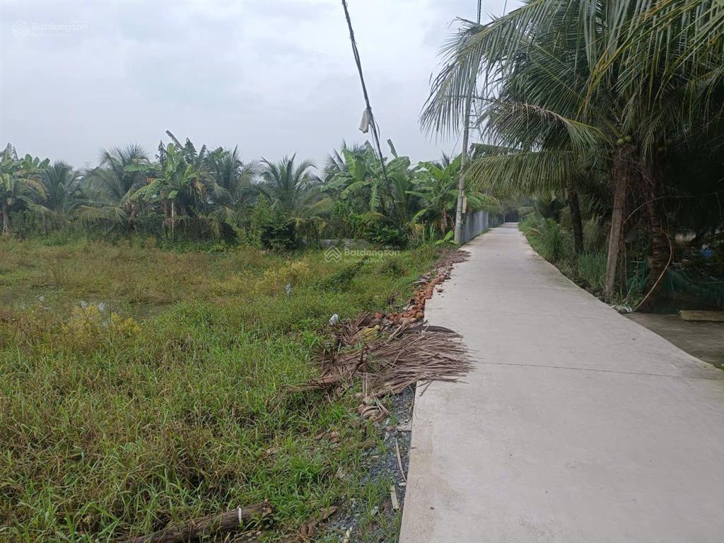 Bán rẻ 1 lô đất thổ cư đường bê tông ô tô 3m ba pho, khu phố phước hòa, phường trung an, đồng tháp
