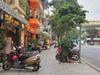 Vip tân định, quận 1, căn góc 2 mặt tiền, dt 65 m2 (4x16.2), giá tốt