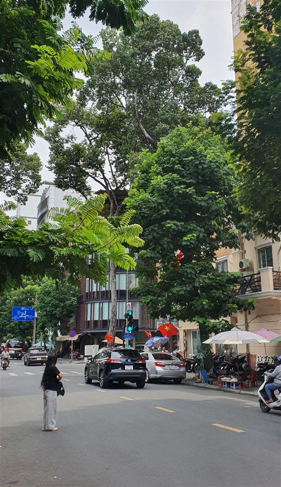 Nhà 4t, dt 60 m2, phó đức chính, p. bến thành, khai thác chdv, giá tốt