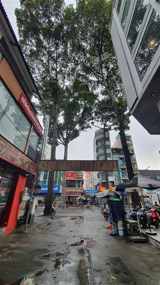 Nhà đẹp 5t, dt 49 m2, hxh 6m, nguyễn tri phương, giá cực tốt