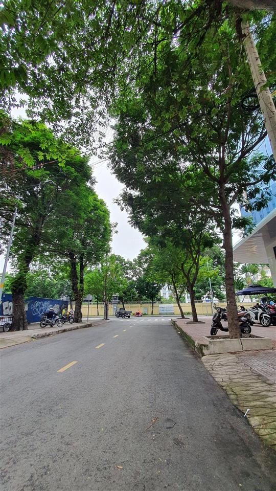Vip quận 1, tòa nhà 12t, góc 2 mặt tiền nguyễn trãi, phường bến thành, dòng tiền mạnh