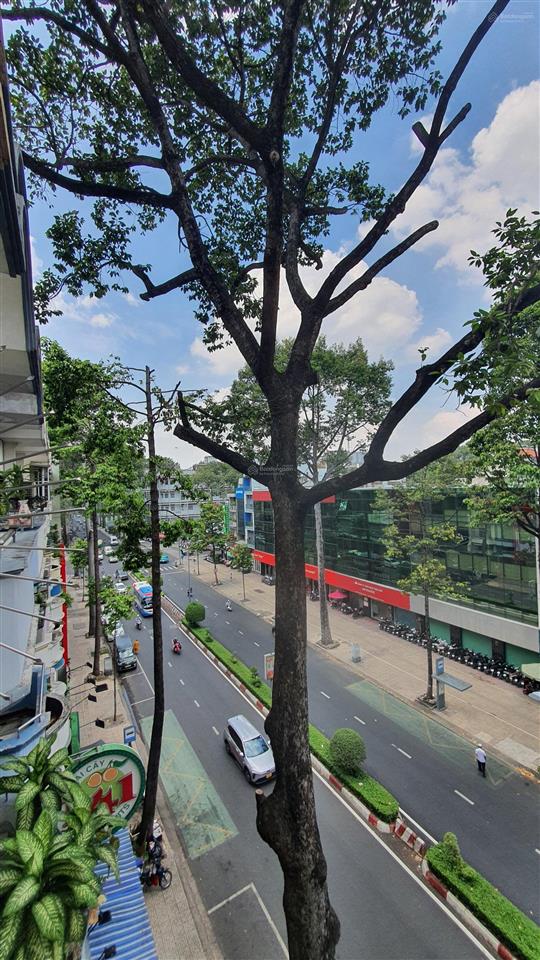 Siêu phẩm q. 5, nhà 7t, thang máy, mặt tiền an dương vương, 36 phòng, giá tốt