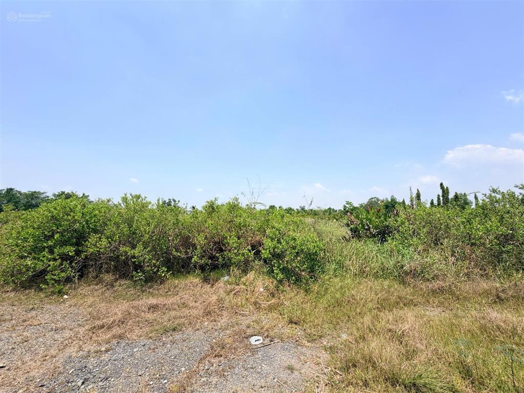 Bán đất 12.746m2 long phước tp thủ đức gần kdl song long, đường ô tô, quy hoạch đất ở