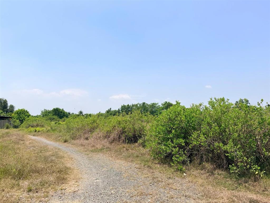 Bán đất 12.746m2 long phước tp thủ đức gần kdl song long, đường ô tô, quy hoạch đất ở