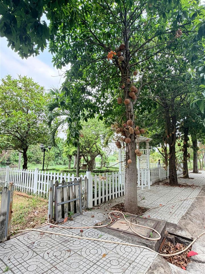 Biệt thự góc 2mt view sông bắc rạch chiếc 374m² hầm + 3 tầng nội thất ý