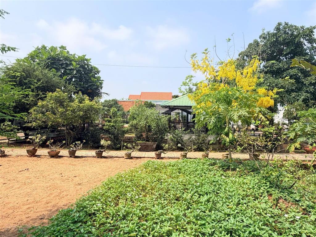 Biệt thự nhà vườn 2.000m² trường thạnh, không gian xanh hiếm giữa tp. thủ đức