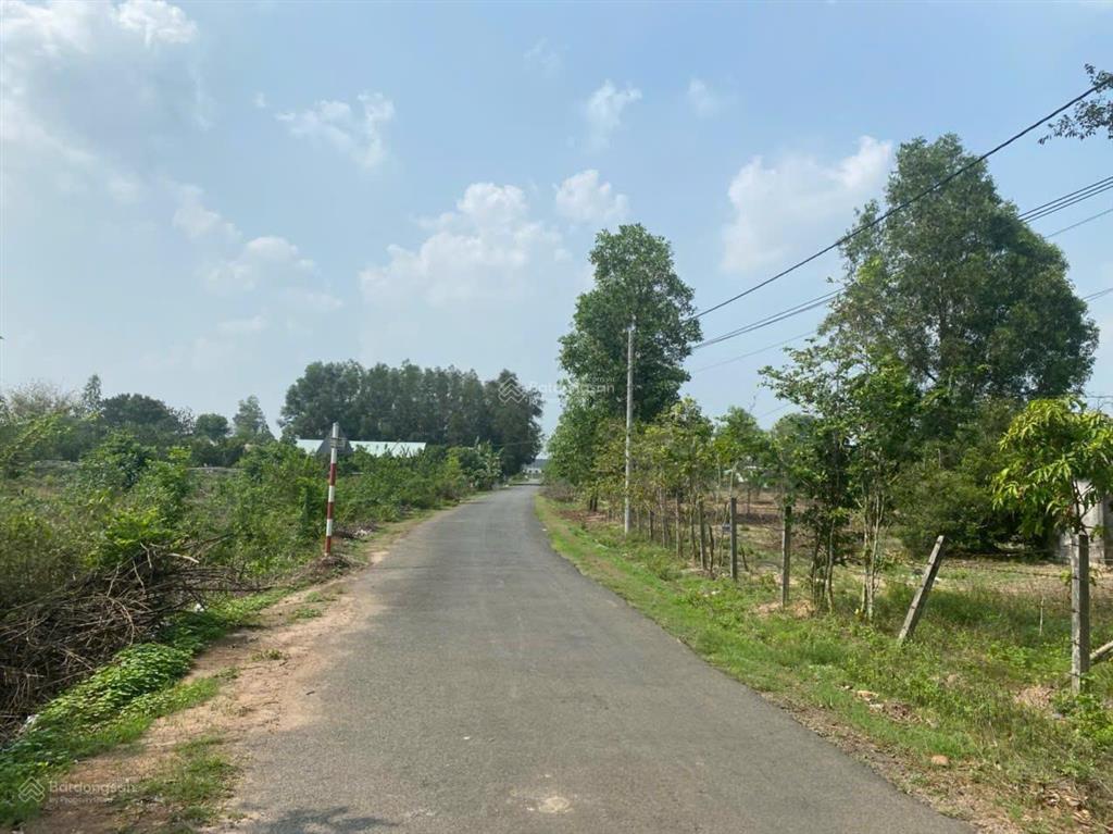 Chính chủ bán 1,7ha đất cln có thổ cư hắc dịch 2 mặt tiền, giá tốt đầu tư