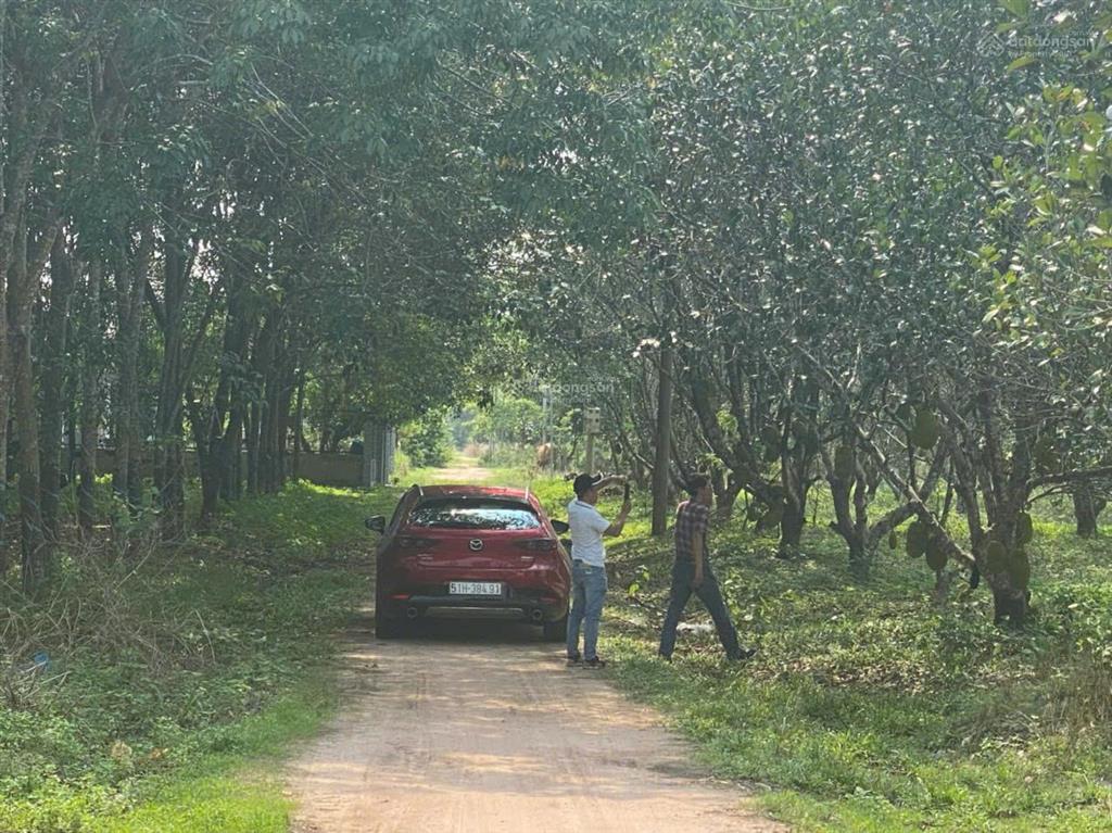 Chính chủ bán 1,7ha đất cln có thổ cư hắc dịch 2 mặt tiền, giá tốt đầu tư