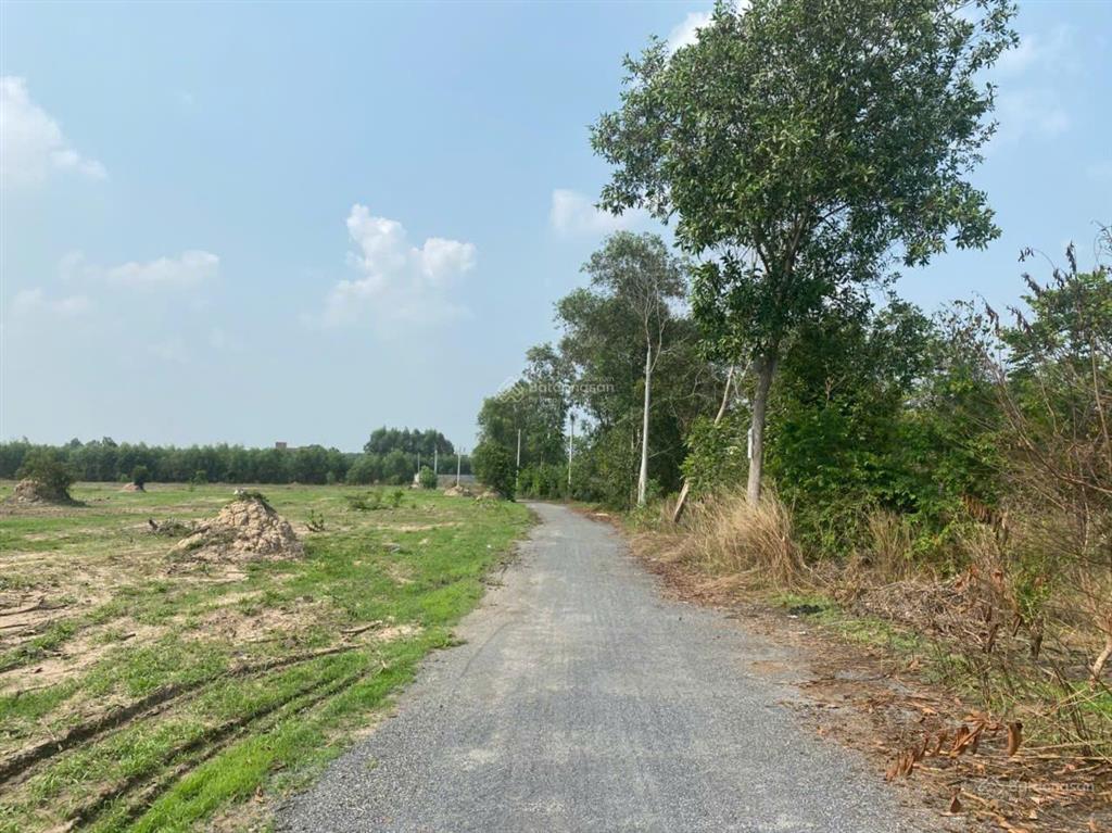 Chính chủ bán 1,7ha đất cln có thổ cư hắc dịch 2 mặt tiền, giá tốt đầu tư