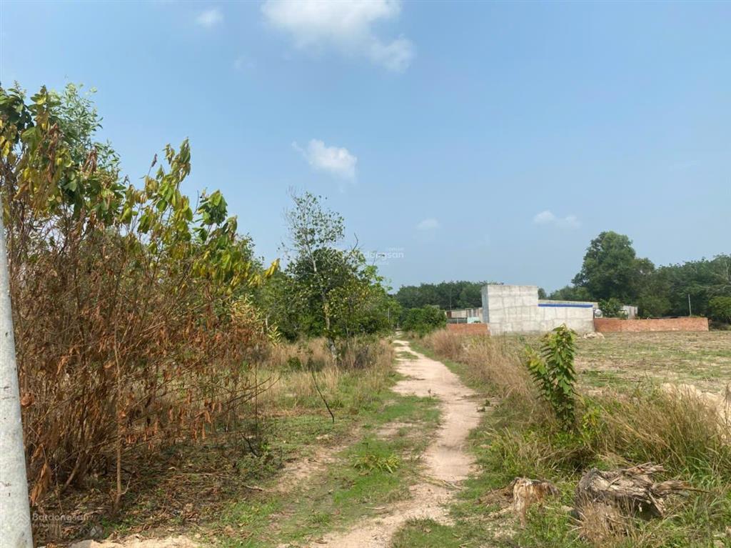 Chính chủ bán 1,7ha đất cln có thổ cư hắc dịch 2 mặt tiền, giá tốt đầu tư