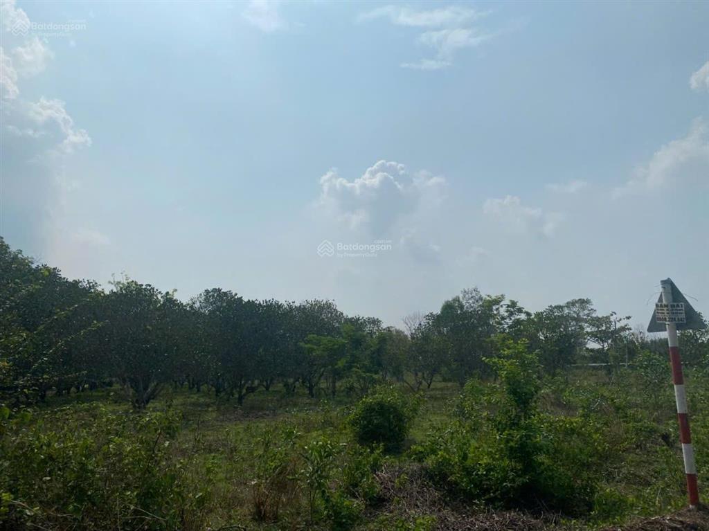 Chính chủ bán 1,7ha đất cln có thổ cư hắc dịch 2 mặt tiền, giá tốt đầu tư