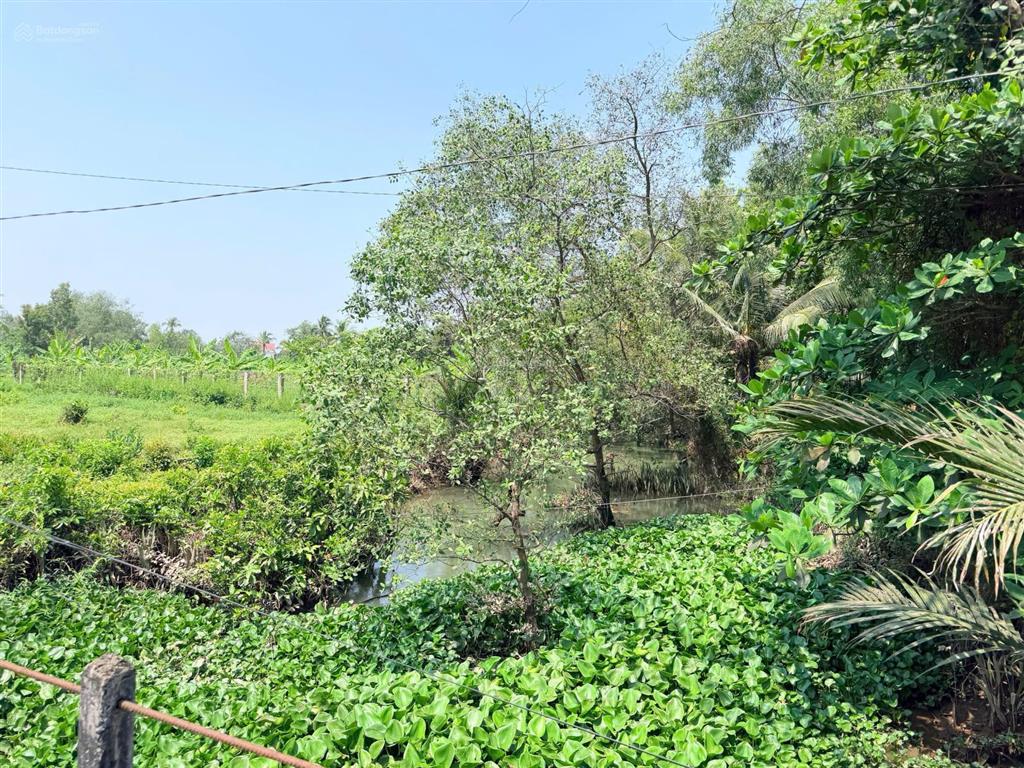 Bán đất long phước quận 9 2.142m²  đất vườn ven rạch, mặt tiền đường