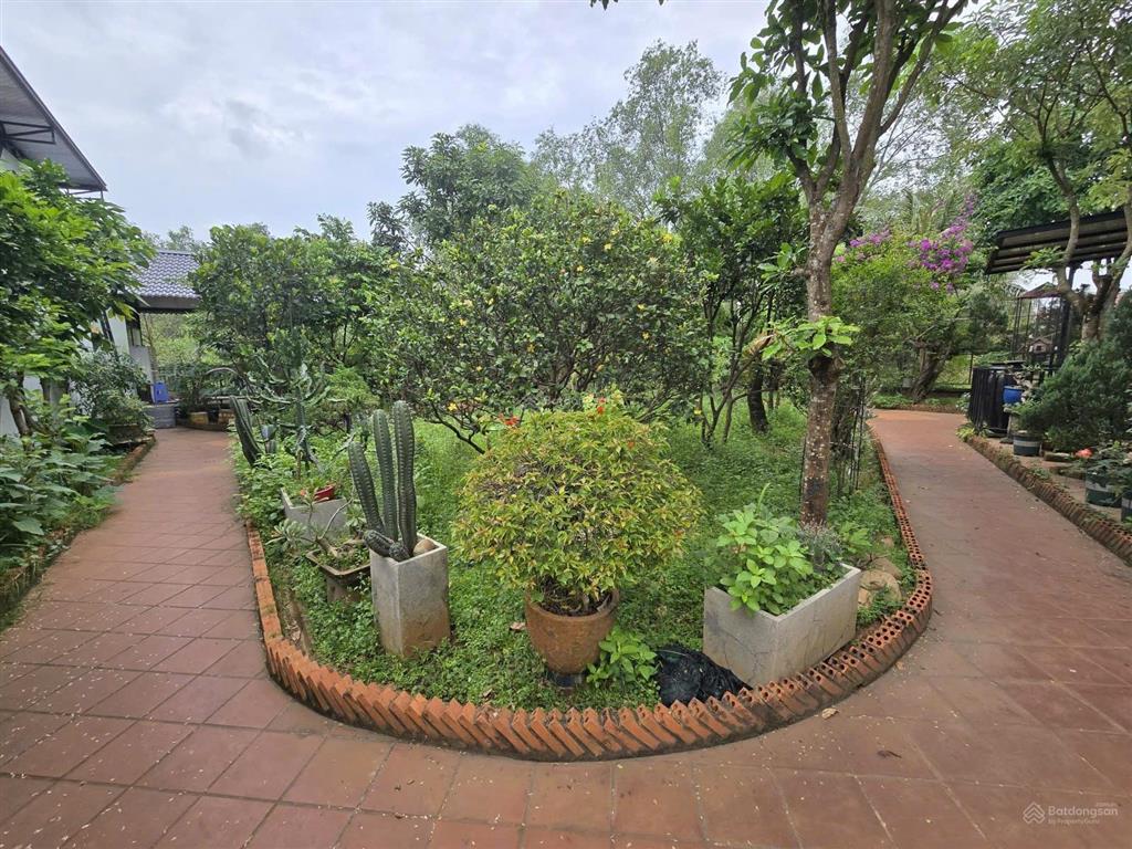 Bán nhà vườn hẻm 148 đường trường lưu p. long trường quận 9