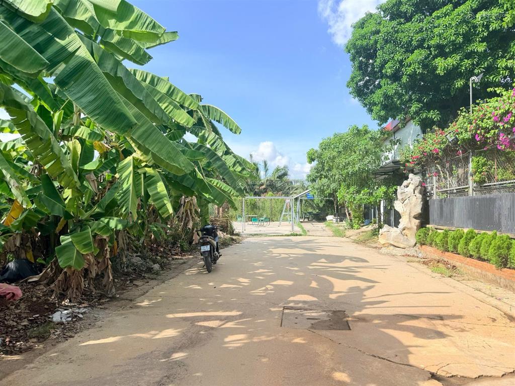 Bán nhà vườn hẻm 148 đường trường lưu p. long trường quận 9