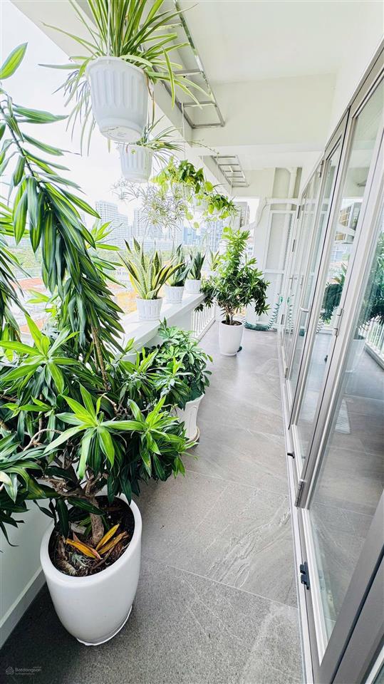 Bán cc mỹ khánh 1, quận 7, hồ chí minh, 9,3 tỷ, 113m2 giá siêu hời