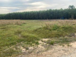 Chỉ 800 triệu sở hữu ngay 2000m2 mặt tiền đ. lê đức thọ, tân bình, lagi