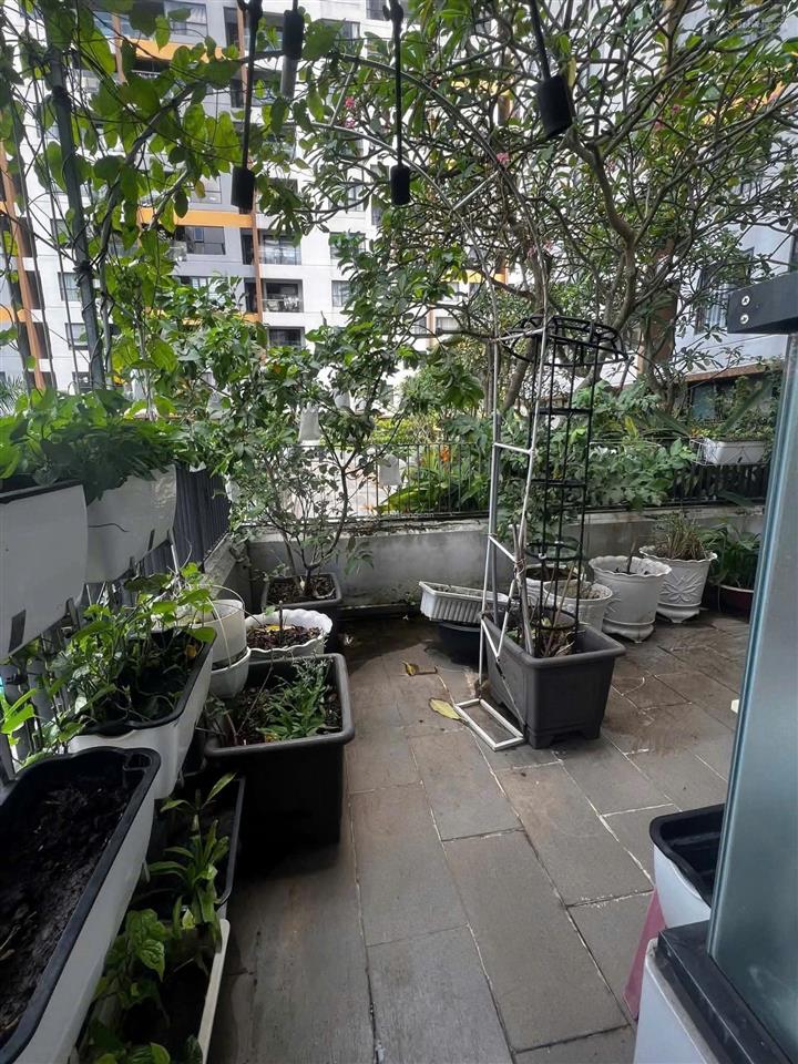 Hàng hiếm mizuki park căn sân vườn như biệt thự chỉ 15 triệu/tháng