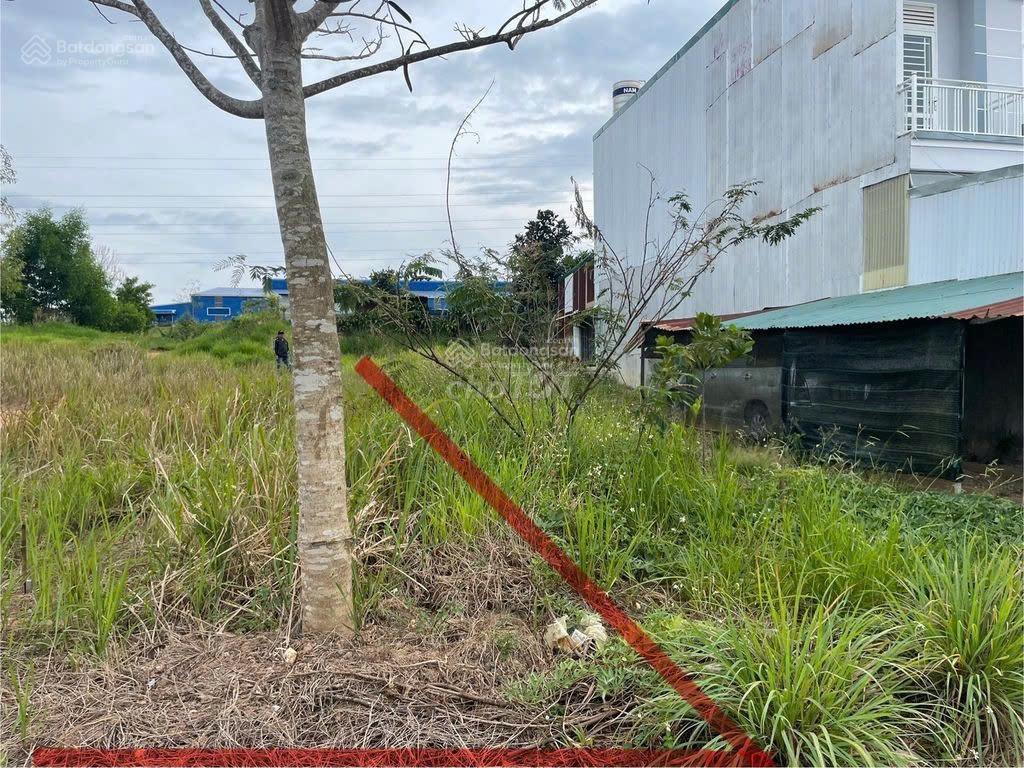 Bán đất chính chủ 5x20m (100 m2) tại capital bảo lộc, thành phố bảo lộc, tỉnh lâm đồng