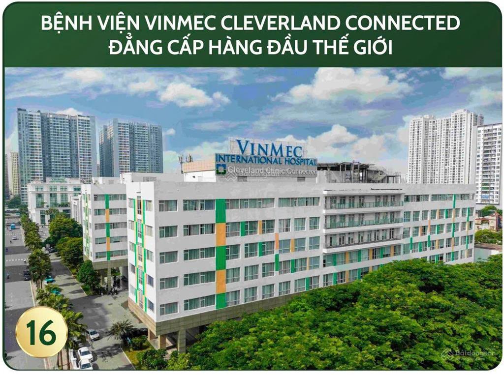 Mua ở biệt thự đơn lập vin cần giờ view biển có bãi tắm sau nhà trục chính 50m chỉ 113 triệu/m2