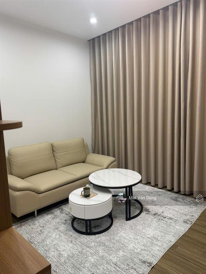 Cho thuê nhà liền kề san hô vin 2, full đồ thang máy