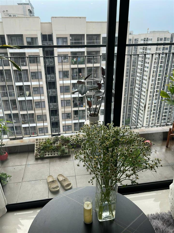 Chính chủ bán căn 2pn vinhomes ocean park 1, ban công đn mát rượi, vào ở ngay chỉ 3.1 tỷ