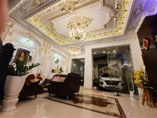 Bán biệt thự tân cổ điển cư xá tự do, 1073/16 cmt8, khuôn đất 131m², giá 32 tỷ