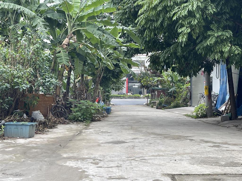 79m đất dịch vụ lại yên  sơn đồng đường 10m vị trí sát đường liên khu 2 giá 9xtr/m siêu cắt lỗ