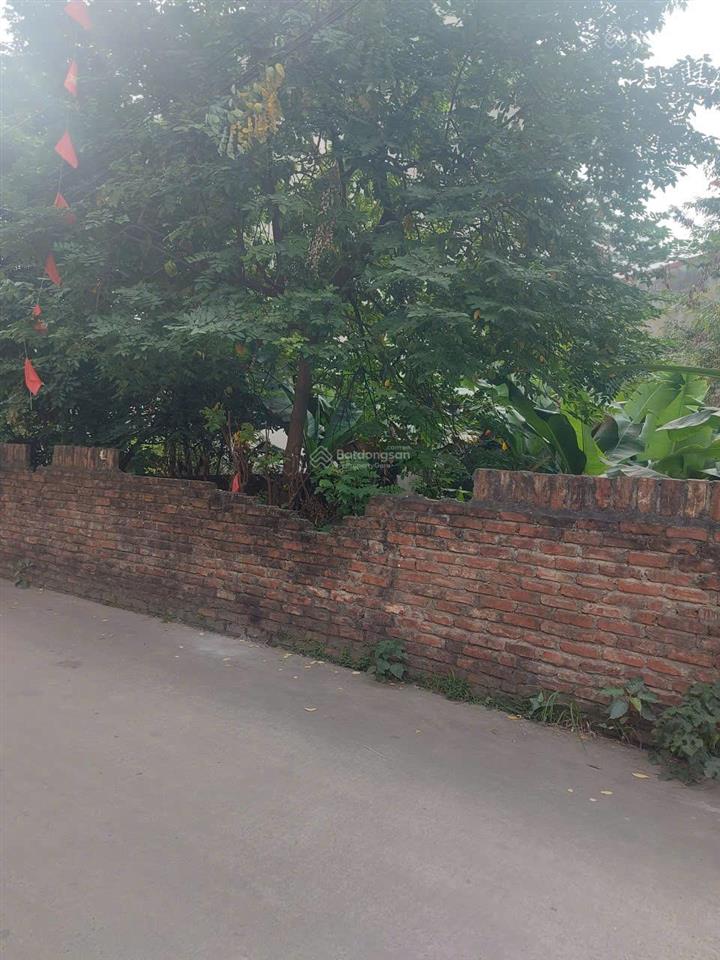 Bán gấp đất đẹp tại đông ngàn, đông anh, hà nội dt 200m2 đường ô tô, vị trí đẹp, giá đầu tư