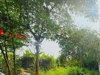 Giá tốt hiếm! đất long trường 74m 4.1 tỷ 4 x 18.5m vuông đẹp đường 7m, gần ủy ban nhân, gần chợ