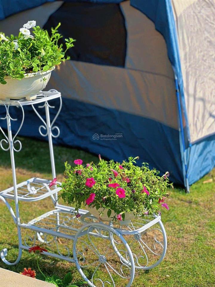 Cần sang nhượng khu nghỉ dưỡng đang kinh doanh tốt view đẹp, doanh thu ổn định