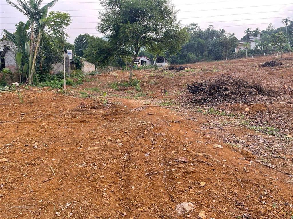 Chính chủ gửi bán nô đất siêu đẹp đá bạc, liên sơn, hòa bình, 7.450m2 có 400m2 thổ cư, có sổ