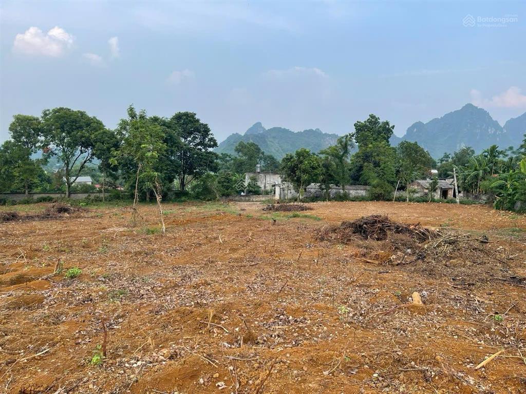 Chính chủ gửi bán nô đất siêu đẹp đá bạc, liên sơn, hòa bình, 7.450m2 có 400m2 thổ cư, có sổ