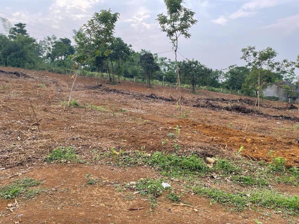 Chính chủ gửi bán nô đất siêu đẹp đá bạc, liên sơn, hòa bình, 7.450m2 có 400m2 thổ cư, có sổ