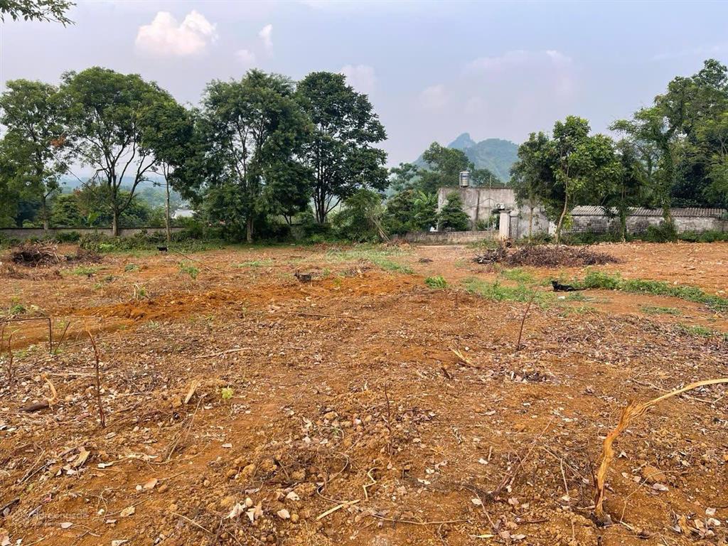 Chính chủ gửi bán nô đất siêu đẹp đá bạc, liên sơn, hòa bình, 7.450m2 có 400m2 thổ cư, có sổ