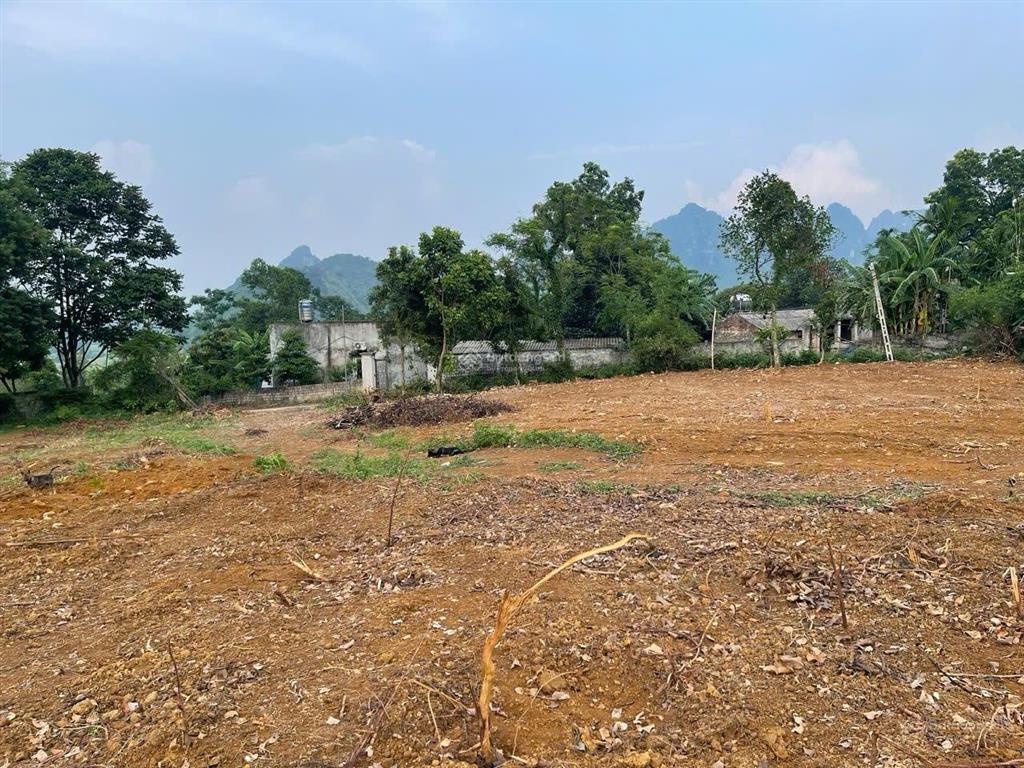 Chính chủ gửi bán nô đất siêu đẹp đá bạc, liên sơn, hòa bình, 7.450m2 có 400m2 thổ cư, có sổ