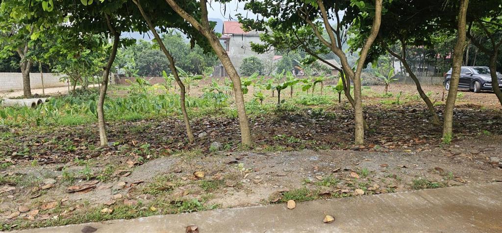 Bán đất lô góc tại đồng xương, lương sơn, hòa bình cũ, nay thuộc phú thọ. dt 1.474 m2, thổ cư 200m