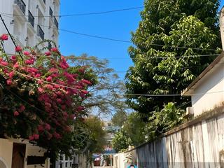 Bán nhà đẹp nguyễn kiệm, phú nhuận, 3.7x6m, 4 tầng btct, hxh 7m sát mt, 0 lộ giới qh  chỉ 5.3tỷ tl