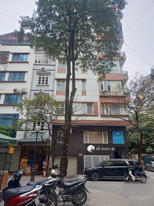 Nhà mặt phố lớn đặng thùy trâm  phạm tuấn tài, ô tô tránh, thang máy, kd đỉnh, 79m²*5t giá 27 tỷ