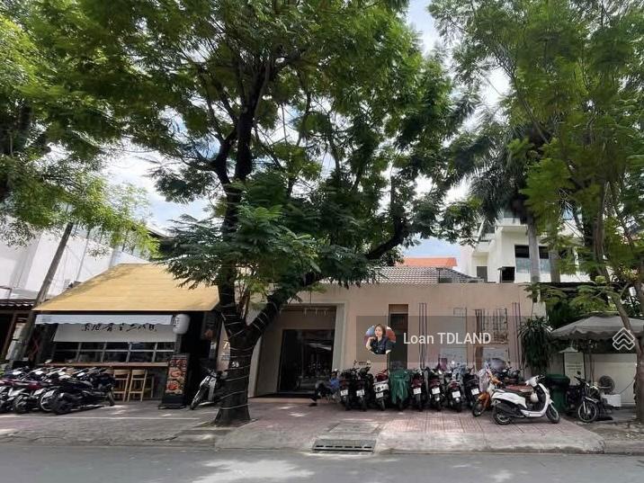 Cho thuê mt xuân thủy 15x30m giá 230tr