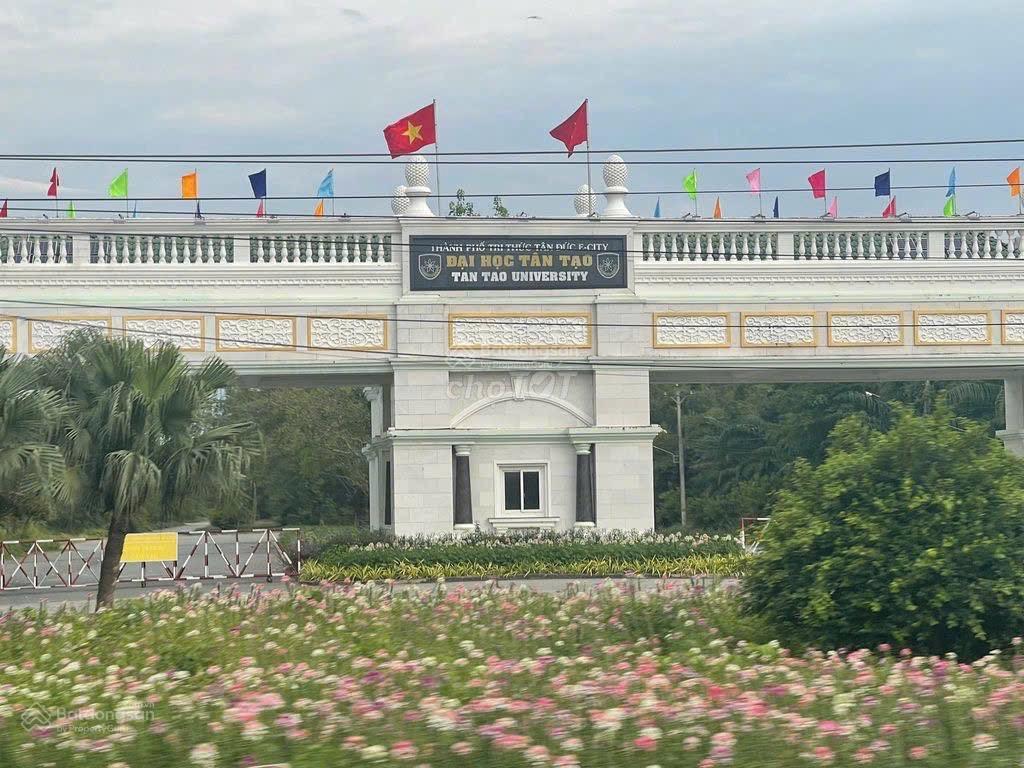 Chính chủ bán đất đức hoà  long an