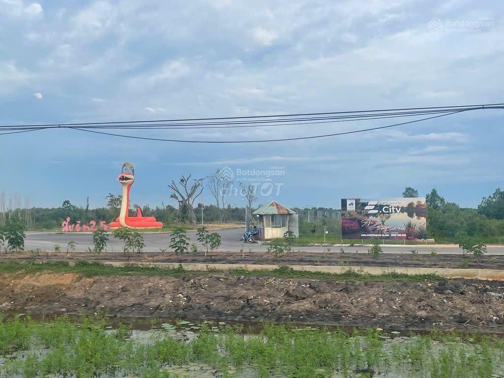 Chính chủ bán đất đức hoà  long an