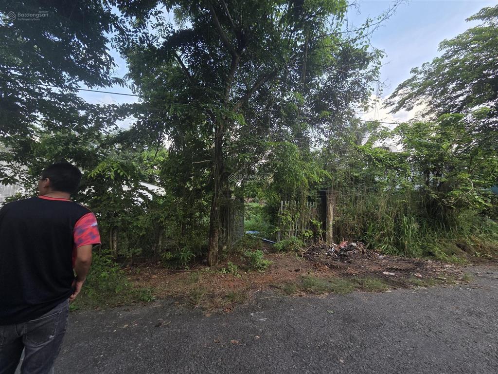 Bán đất 350m2 tại dương minh châu, 3,7 tỷ, mặt tiền 8m