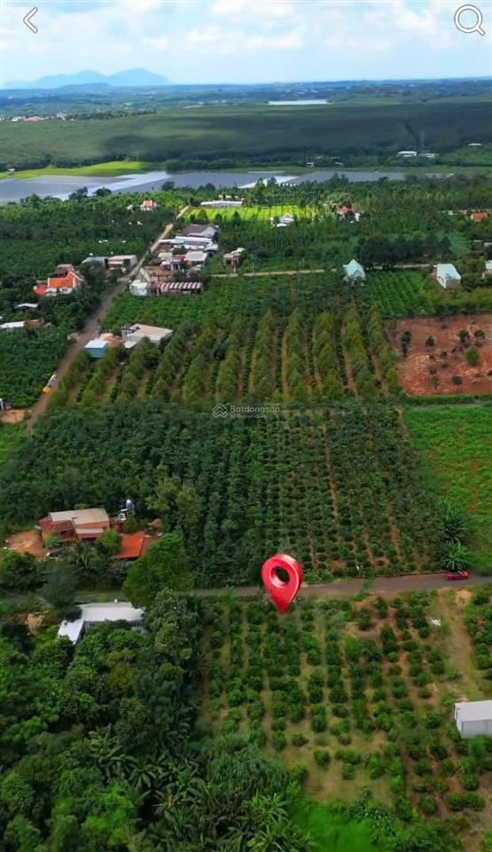 Bán đất tại xã quảng thành, 10 triệu / m2, 750 m2 cln