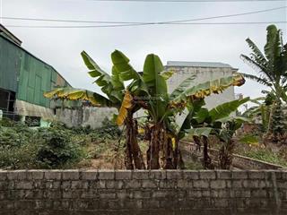 Chủ cần tiền bán gấp lô ở đất đẹp có 102 tại hoà lạc 89m2 mặt tiền 6m hậu 6m full thổ cư