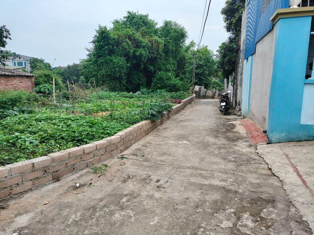 40,2M full thổ Trung Hòa xã Phú Nghĩa, Chỉ 1,55 tỉ